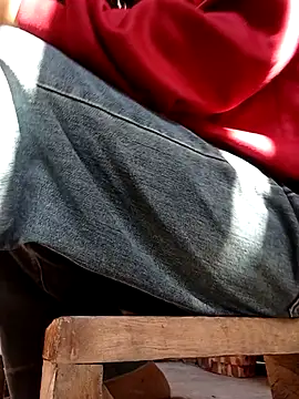 daisy will online show from November 26, 1:39 am