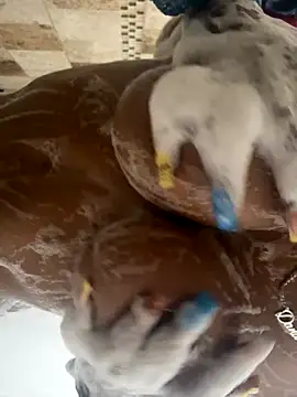 goddessfeettt online show from October 29, 5:45 am