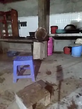 Tiyir597 online show from November 15, 5:41 am