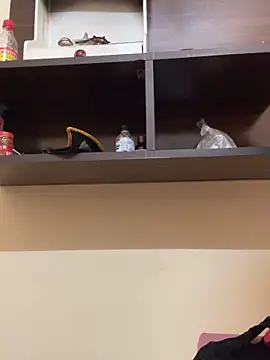 modelnishu online show from April 9, 6:19 am