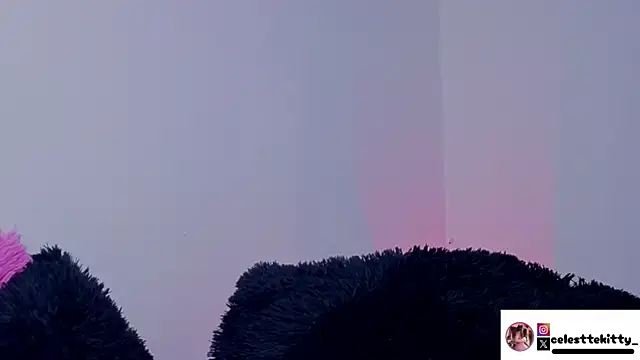 celestte evans 1 online show from February 22, 2:34 am