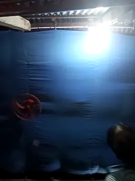 nila-aktar online show from February 5, 1:25 pm