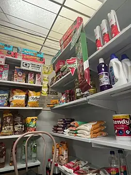 Sallem Pink online show from February 21, 11:22 am