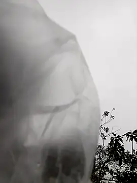 asian 2k online show from February 4, 8:28 am