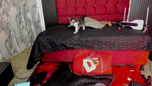 GisellHolden  online show from November 28, 11:41 pm