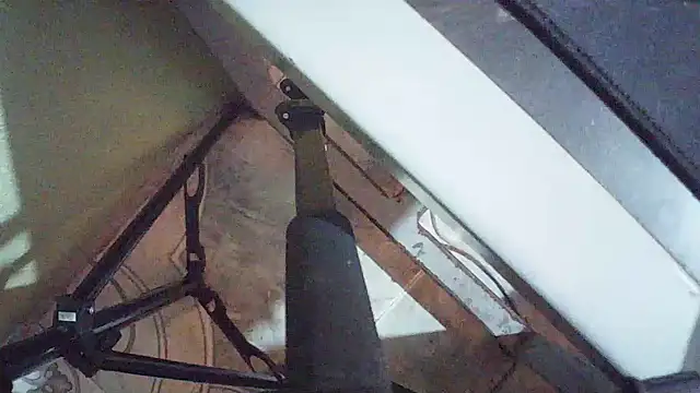 Terraelowen online show from March 24, 1:05 pm