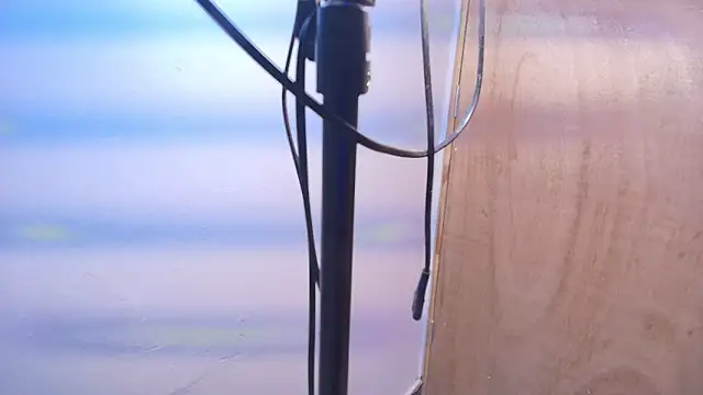 Terraelowen online show from February 20, 11:23 am