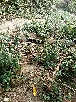 MuiNay online show from April 17, 9:44 am