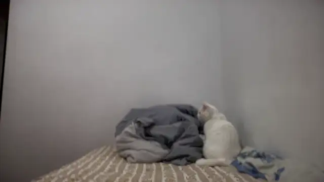 Snapshot of Rosea_Lune chatting on September 15, 7:54 pm Rosea Lune online show from September 15, 7:54 pm