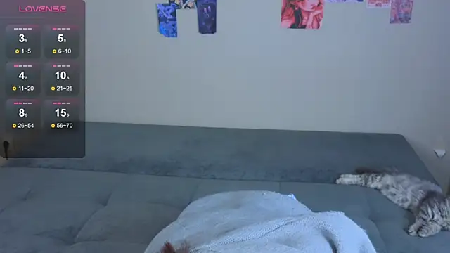 arcane doll online show from December 18, 5:18 pm