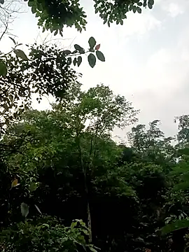 linda bae00 online show from April 25, 12:46 am