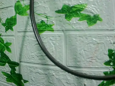 daros453 online show from November 3, 2:15 am