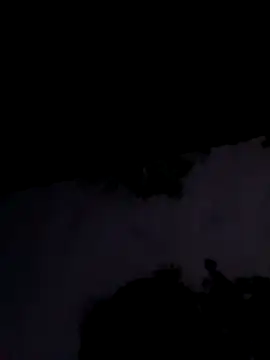 Apkisona8 online show from November 1, 2:21 pm