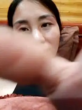 sun 122 online show from November 12, 2:31 am