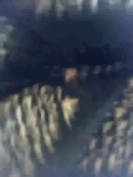 monu bhabi online show from March 13, 4:47 am