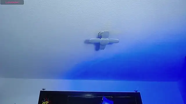  Charlotte Collins  online show from February 27, 2:39 pm