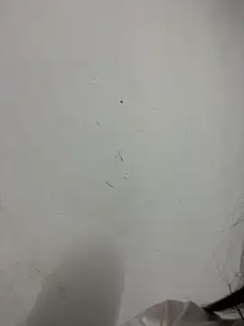 lulizoee online show from September 10, 11:27 pm