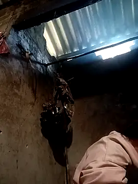 simi-lucy online show from December 1, 5:11 am