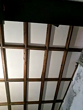 strangerwild online show from November 20, 8:26 am