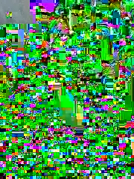 sadhna200 online show from September 13, 5:21 pm