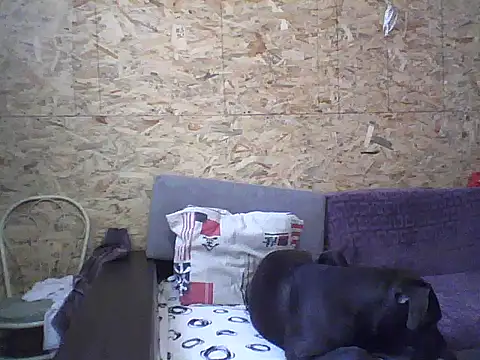 Milana38 online show from October 27, 10:33 am