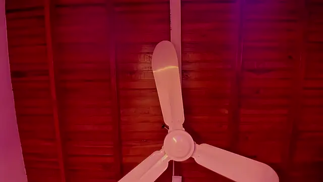 Gabby Haze online show from December 14, 10:26 pm