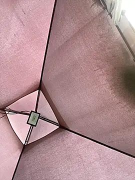 Adele Pinkk online show from November 24, 12:18 pm