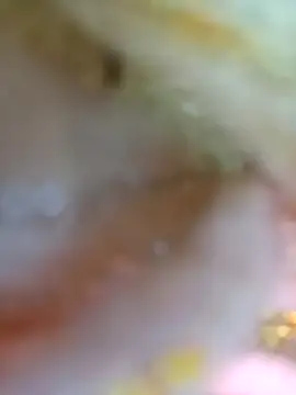 Rani sahiba online show from October 26, 10:16 pm