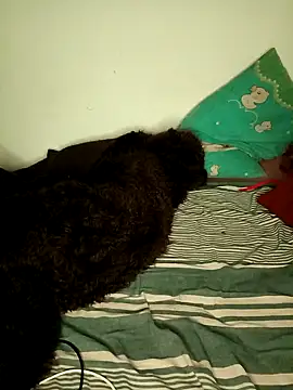 BunnyBloom25 online show from September 21, 7:45 pm