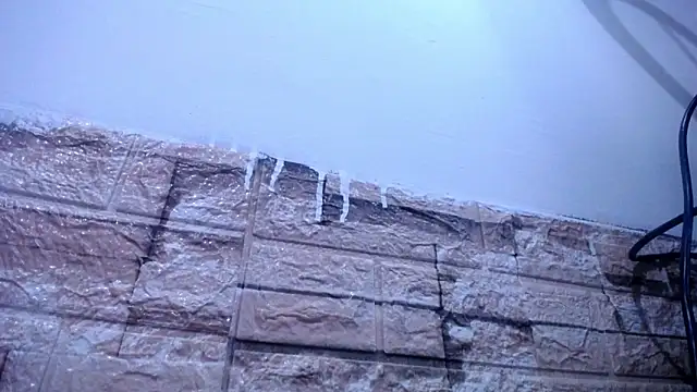 Bicky 24 online show from April 4, 8:35 am