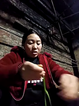 siki-00 online show from November 20, 11:00 am