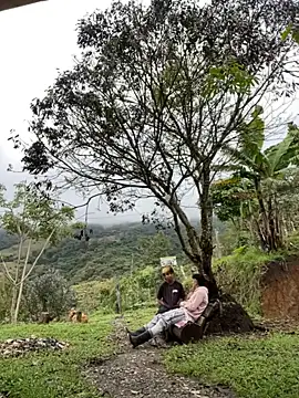 sky-wolves online show from October 18, 4:21 pm