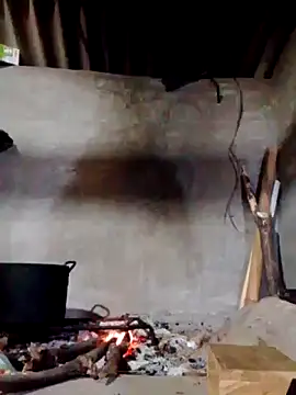 donna-bae online show from April 1, 12:06 pm