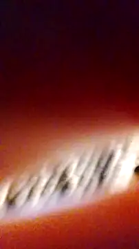 lesyawhite online show from October 23, 8:59 pm