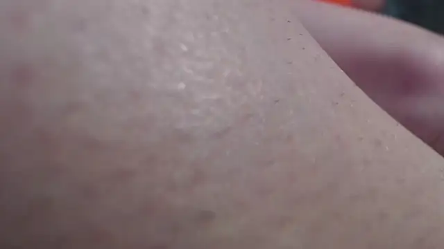 Alida2Anal online show from November 13, 11:26 pm