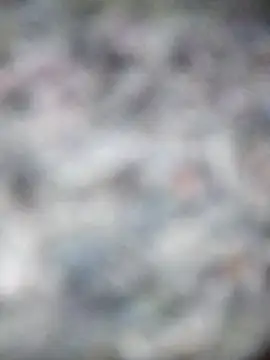 Na shreya online show from November 27, 12:02 am