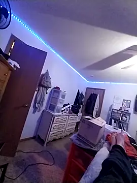 JNTre online show from November 21, 12:40 pm