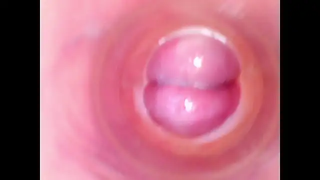 shannon kinne  online show from November 10, 4:35 pm