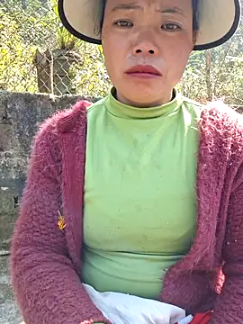 miomio-12 online show from December 1, 5:44 am