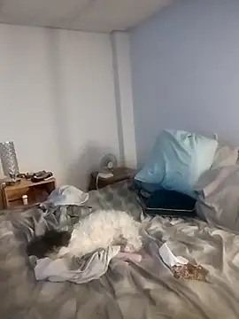 Lauren2012ss online show from October 13, 5:32 am