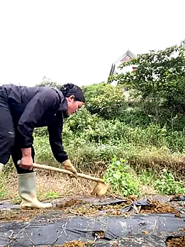 Pii x online show from October 29, 2:27 am