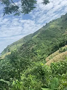 hi-hi-zz online show from November 14, 5:51 am