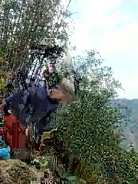 gio-thu online show from April 11, 9:02 am