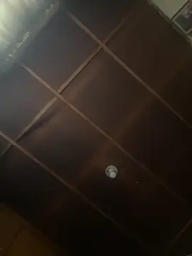 Zoe fire online show from October 28, 12:22 pm