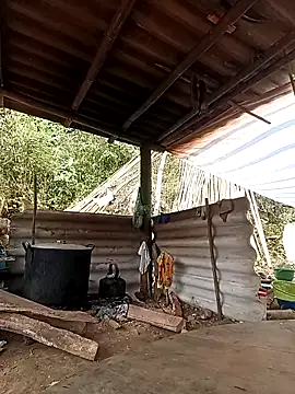 -Kem-01 online show from February 26, 5:17 am