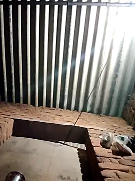 M-MAYA online show from February 19, 4:50 pm