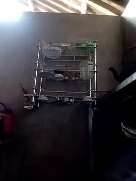 kokoto-59 online show from February 28, 6:46 am