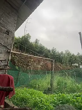 Irin jo online show from February 1, 12:31 am