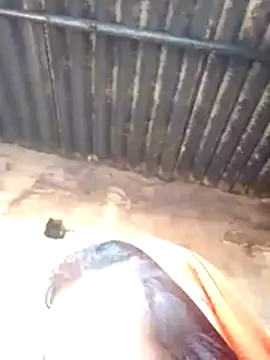 Anju setty online show from November 21, 4:25 am