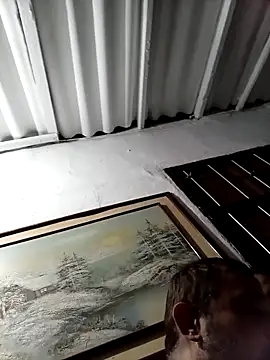 linahotlatina online show from November 11, 3:13 am